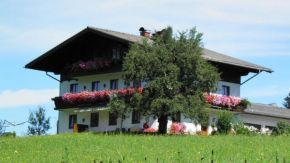 Vorderwimmhof, Abtenau, Österreich, Abtenau, Österreich